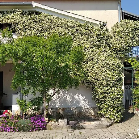 Sasa Bozac Apartment Porec