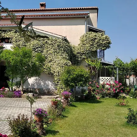 Apartment Sasa Bozac *