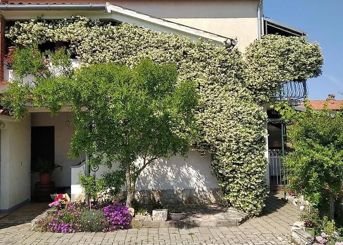 Sasa - Pets Friendly! Apartmán Poreč